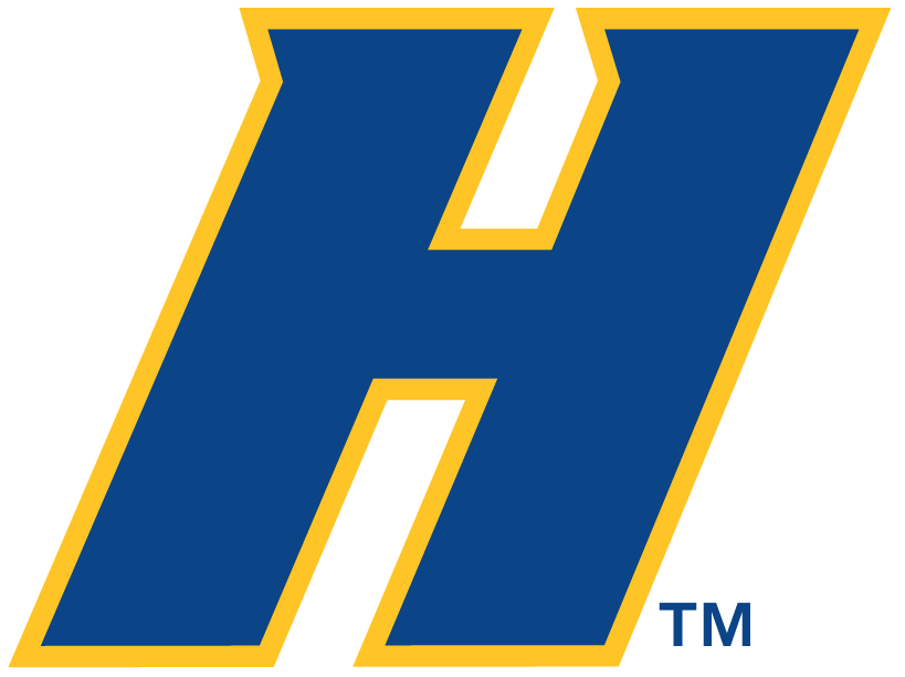 Hofstra Pride 2005-Pres Alternate Logo 03 vinyl decal